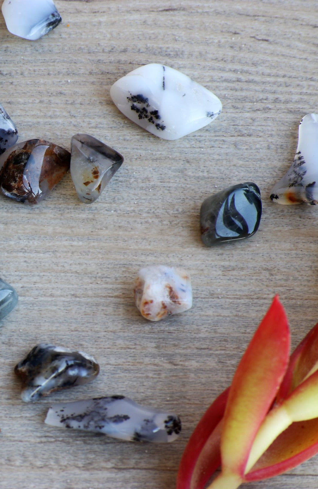 Merlinite (Dendritic Agate) Tumbled Stone